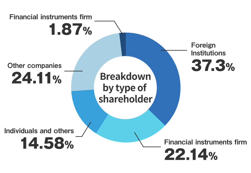 Pie chart:BREAKDOWN BY TYPE OF SHAREHOLDER