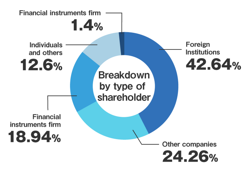 Pie chart:BREAKDOWN BY TYPE OF SHAREHOLDER