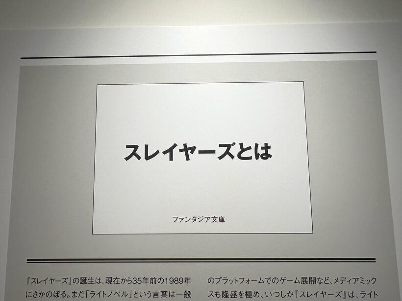スレイヤーズとは