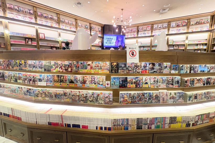 Light Novel Bookshelf