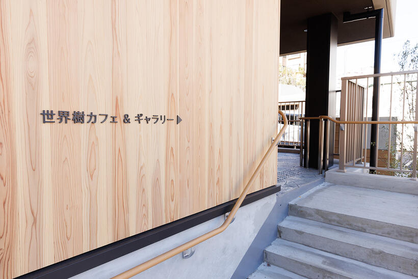 世界樹カフェ＆ギャラリー