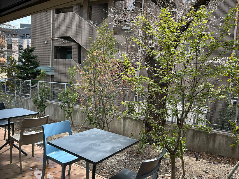 「世界樹カフェ＆ギャラリー」テラス席